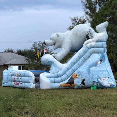En el interior comercial enorme Arctic Plunge deslizamiento de agua inflable con doble carril deslizamiento de aire