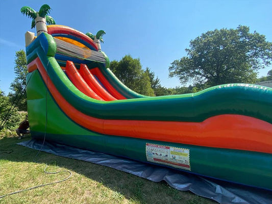 Capacidad máxima 100-500 kg Parque acuático inflable de doble carril con piscina y tobogán de palmeras