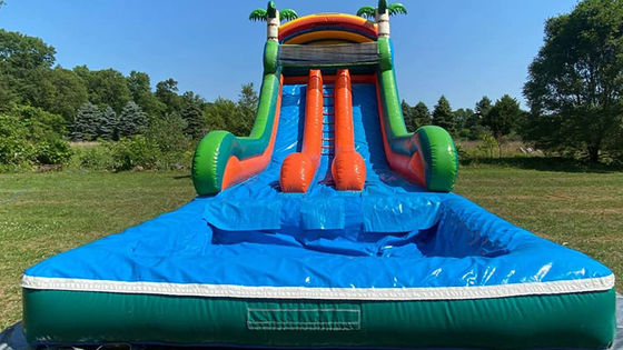 Capacidad máxima 100-500 kg Parque acuático inflable de doble carril con piscina y tobogán de palmeras