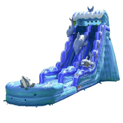 Esquí inflables desmontable para niños y adultos en el parque acuático de verano