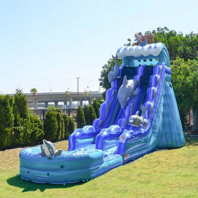 Esquí inflables desmontable para niños y adultos en el parque acuático de verano