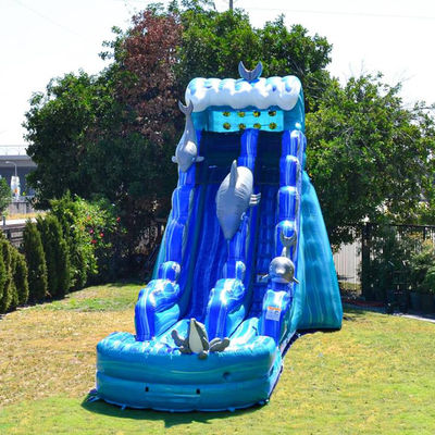 Esquí inflables desmontable para niños y adultos en el parque acuático de verano