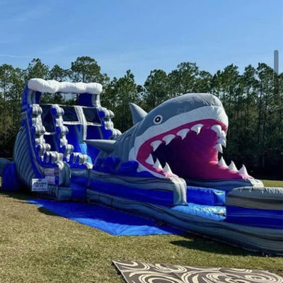 Tamaño personalizado tobogán de agua inflable con tobogán de tiburón grande y piscina