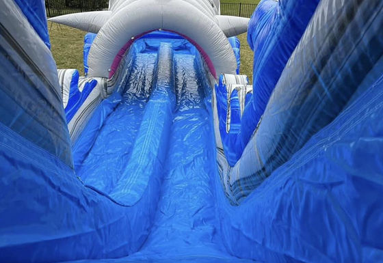 Tamaño personalizado tobogán de agua inflable con tobogán de tiburón grande y piscina