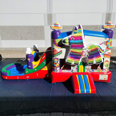 Portable PVC Rainbow Puppy Inflable Casa de rebote con deslizamiento Combo Pool Jumpers Castillo