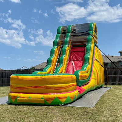 Tamaño adulto PVC comercial Sinfonía de la selva tobogán de agua inflable con piscina