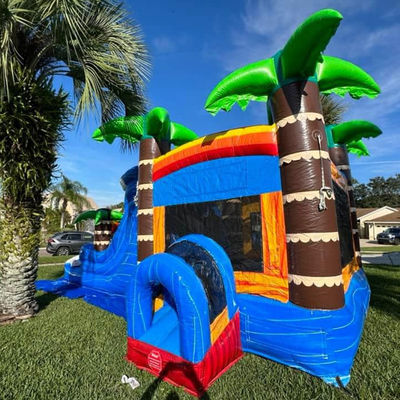 Jardín infantil Casa de salto inflable con piscina de toboganes y palma