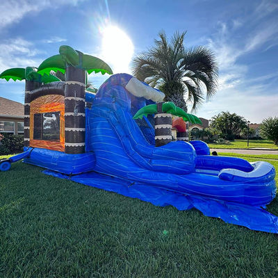 Jardín infantil Casa de salto inflable con piscina de toboganes y palma