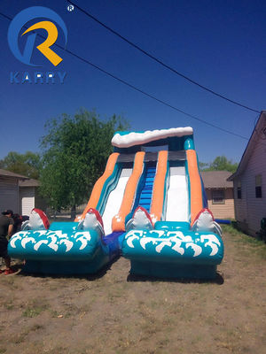 Deslizador de agua inflable de lonas de PVC para adultos y niños Logotipo / patrón personalizado