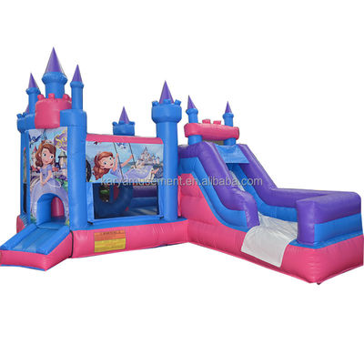 Características PORTABLE Niños Castillo travieso Casa de salto inflable con tobogán y piscina