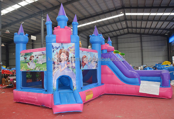Características PORTABLE Niños Castillo travieso Casa de salto inflable con tobogán y piscina