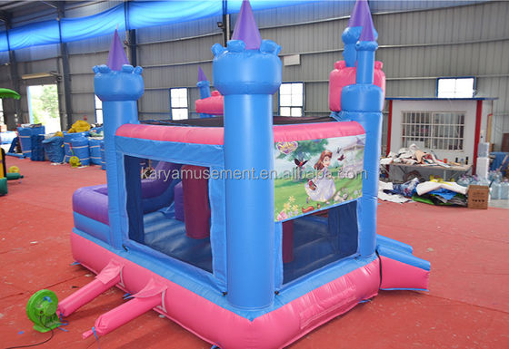 Características PORTABLE Niños Castillo travieso Casa de salto inflable con tobogán y piscina