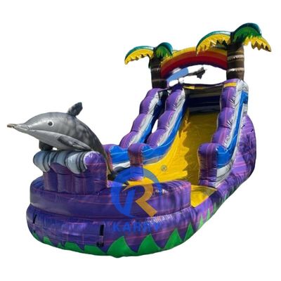 Artículo de color personalizado Deslizador inflables con piscina Deslizador de agua de grado comercial