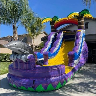Artículo de color personalizado Deslizador inflables con piscina Deslizador de agua de grado comercial