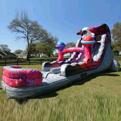 Doble carril Salto aéreo deslizamiento seco Diseño inflables de colores para el parque Tamaños opcionales