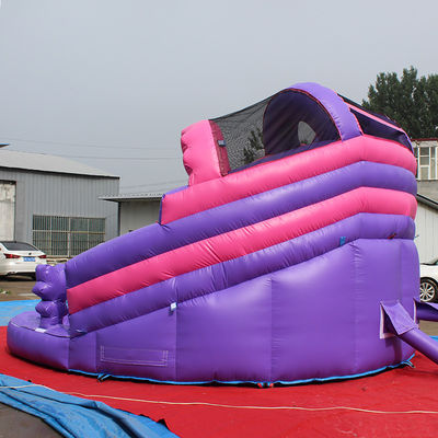 Unisex Residencial Inflatable Cartoon LOL Slide de agua húmeda/seca con piscina y castillo