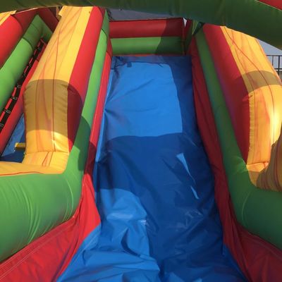 Oportunidad comercial Tamaño personalizado Árbol de palma inflable Slide único con piscina