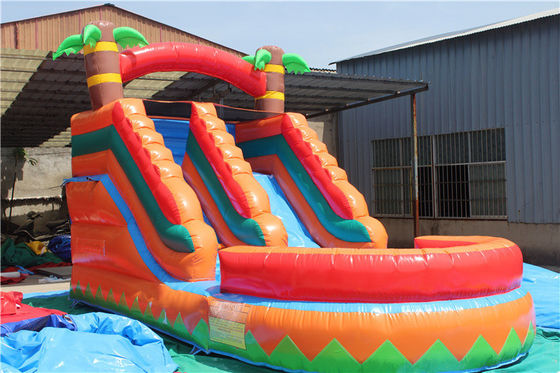 Interior de doble capa reforzado con PVC palmeras inflables doble tobogán de agua con piscina para niños y adultos