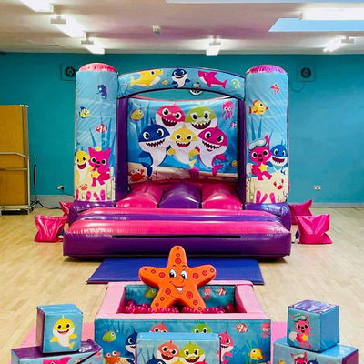 14 Años de edad, castillo de trampolín inflables con color personalizado