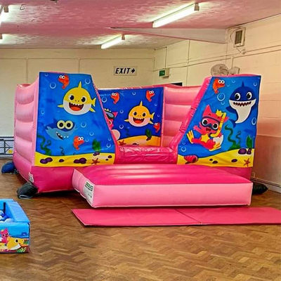 14 Años de edad, castillo de trampolín inflables con color personalizado