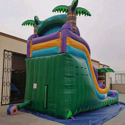 Castillo inflables de bosque lluvioso con tobogán y piscina de agua Combinación de castillo inflables