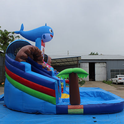 Color personalizado Popular pequeño tiburón tobogán de agua inflable con piscina