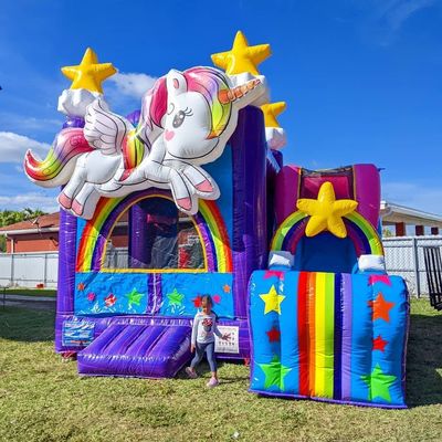 Tamaño personalizado PORTABLE Casa Jardín Castillo de salto para el tiempo de juego en interiores y exteriores