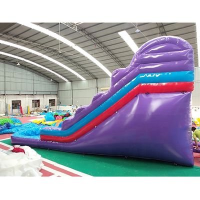 Entretenimiento al aire libre Deslizador de castillo inflable personalizado para entretenimiento