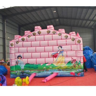 Casa de rebotes camaleón y tobogán inflable rosa para el castillo de salto de trampolín unisex