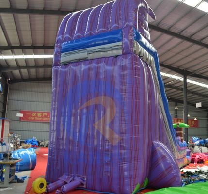 2023 Promoción Deslizamiento de tierra empinado Árbol mágico de palma agua deslizamiento púrpura inflable con piscina