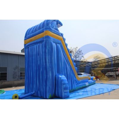 Color personalizado Inflables patio trasero Tropical de mármol azul tobogán de agua con piscina Adulto para 10 pasajeros