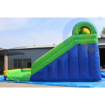 Atraer CE EN14960 Certificado Leopard Impresión Arco toboganes de agua inflable con piscina