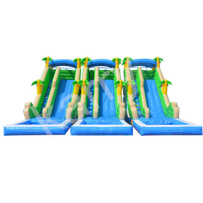 Deslizamiento acuático unisex de doble carril y castillo saltante Casa de salto inflable comercial