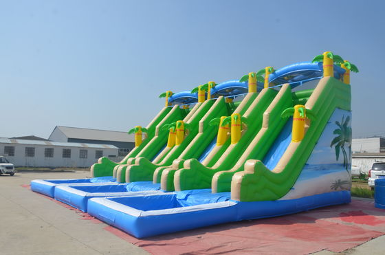 Deslizamiento acuático unisex de doble carril y castillo saltante Casa de salto inflable comercial