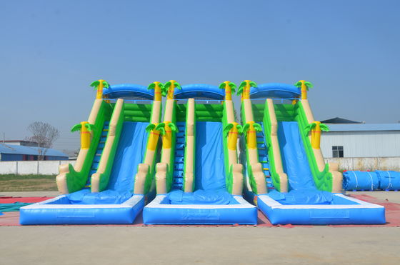 Deslizamiento acuático unisex de doble carril y castillo saltante Casa de salto inflable comercial
