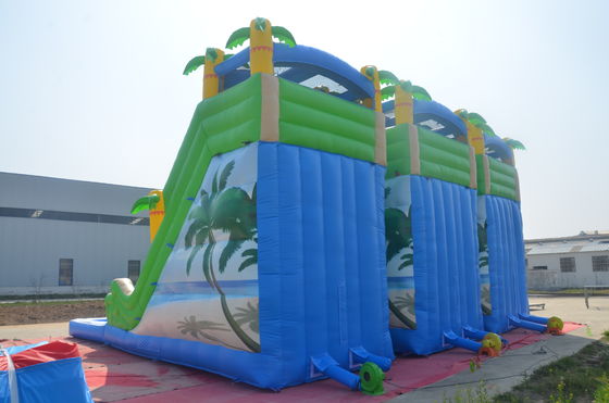 Deslizamiento acuático unisex de doble carril y castillo saltante Casa de salto inflable comercial