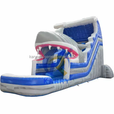 Desata tu interior de tiburón comercial de agua azul con tiburón inflable y piscina