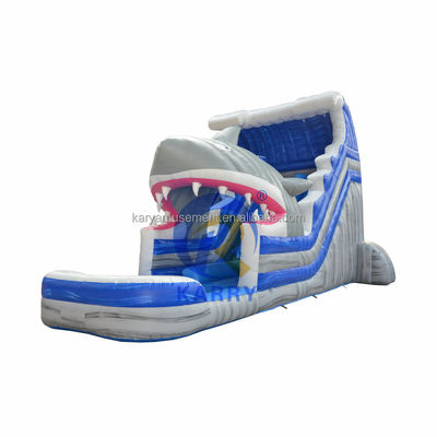 Desata tu interior de tiburón comercial de agua azul con tiburón inflable y piscina