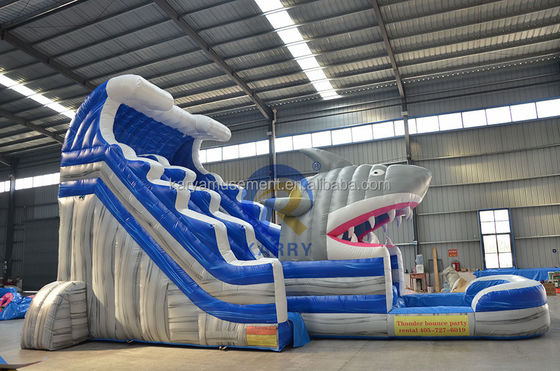 Desata tu interior de tiburón comercial de agua azul con tiburón inflable y piscina