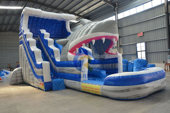 Desata tu interior de tiburón comercial de agua azul con tiburón inflable y piscina
