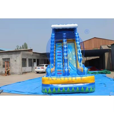 Deslizamiento de agua inflables de 18 pies para adultos con piscina y palma