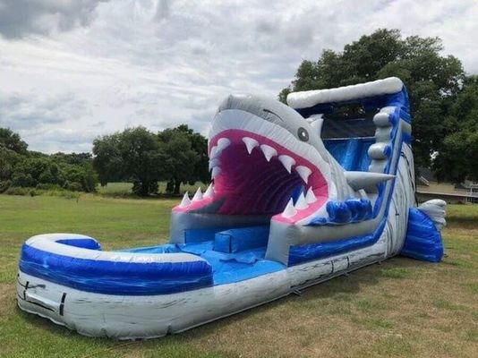 Equipo popular de parque acuático inflable Grandes toboganes acuáticos de tiburón 3D azules con piscina