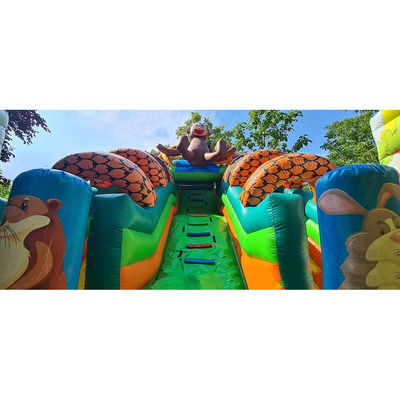 Color personalizado Parque de Safari Puente inflable para la diversión de los niños en el parque al aire libre