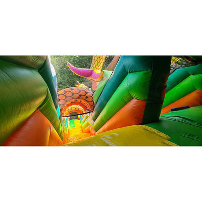 Color personalizado Parque de Safari Puente inflable para la diversión de los niños en el parque al aire libre