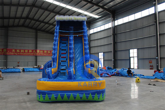 CE 220v-240v o 110v-120v Tamaño personalizado tobogán de agua inflable para la fiesta de verano