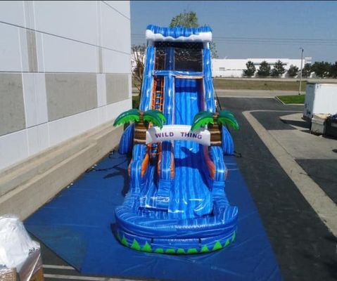 Oportunidad Juegos inflables comerciales Palma de mármol trampolín para juego al aire libre