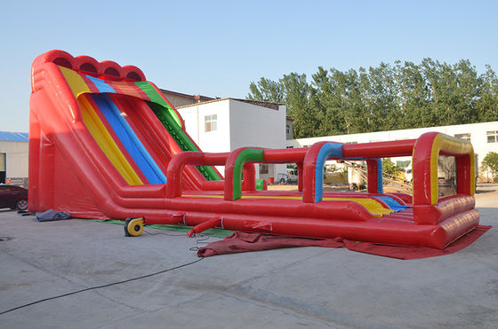 Diseño personalizado Temática tropical tobogán de agua inflable con piscina para niños y adultos