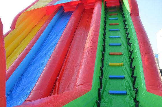 Diseño personalizado Temática tropical tobogán de agua inflable con piscina para niños y adultos