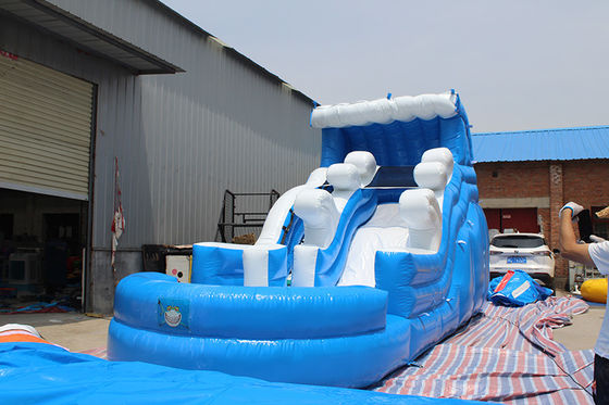 Diseño personalizado Temática tropical tobogán de agua inflable con piscina para niños y adultos