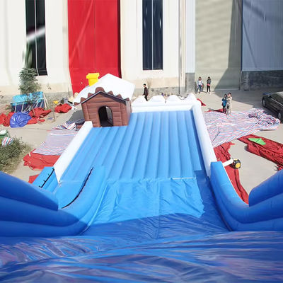 Diseño personalizado de tobogán de nieve seco de PVC para niños y adultos